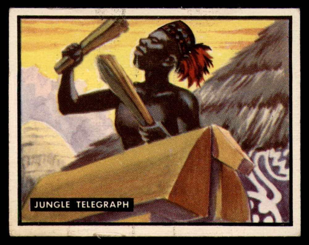31 Jungle Telegraph